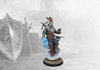 Conquest: Hundred Kingdoms Null Mage