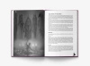 Valraven: The Book of the Eclipse