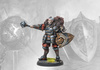 Conquest: The Stone Face Lore Campaign