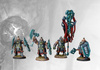 Conquest: Dweghom Hold Thanes (Dual Kit)