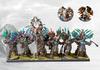 Conquest: W'adrhun Slingers (Dual Kit)