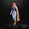 [PRZEDSPRZEDAŻ] Star Wars: Maul - Shadow Lord Black Series Devon Izara