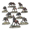 Age of Sigmar Soulblight Gravelords: Dire Wolves