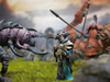 Conquest: Spires Merchant Prince